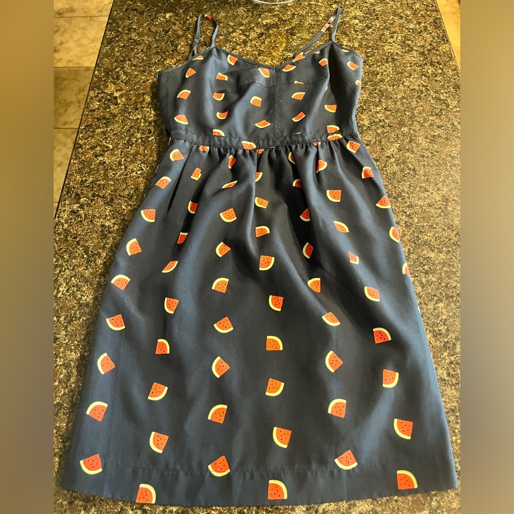 J.Crew Navy Watermelon Sundress